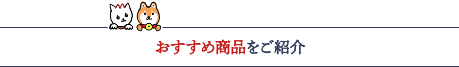 おすすめ商品をご紹介