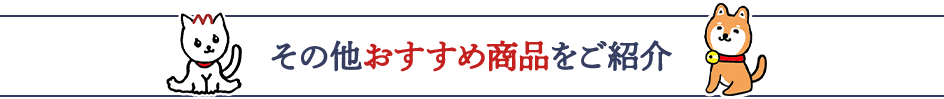 その他おすすめ商品をご紹介